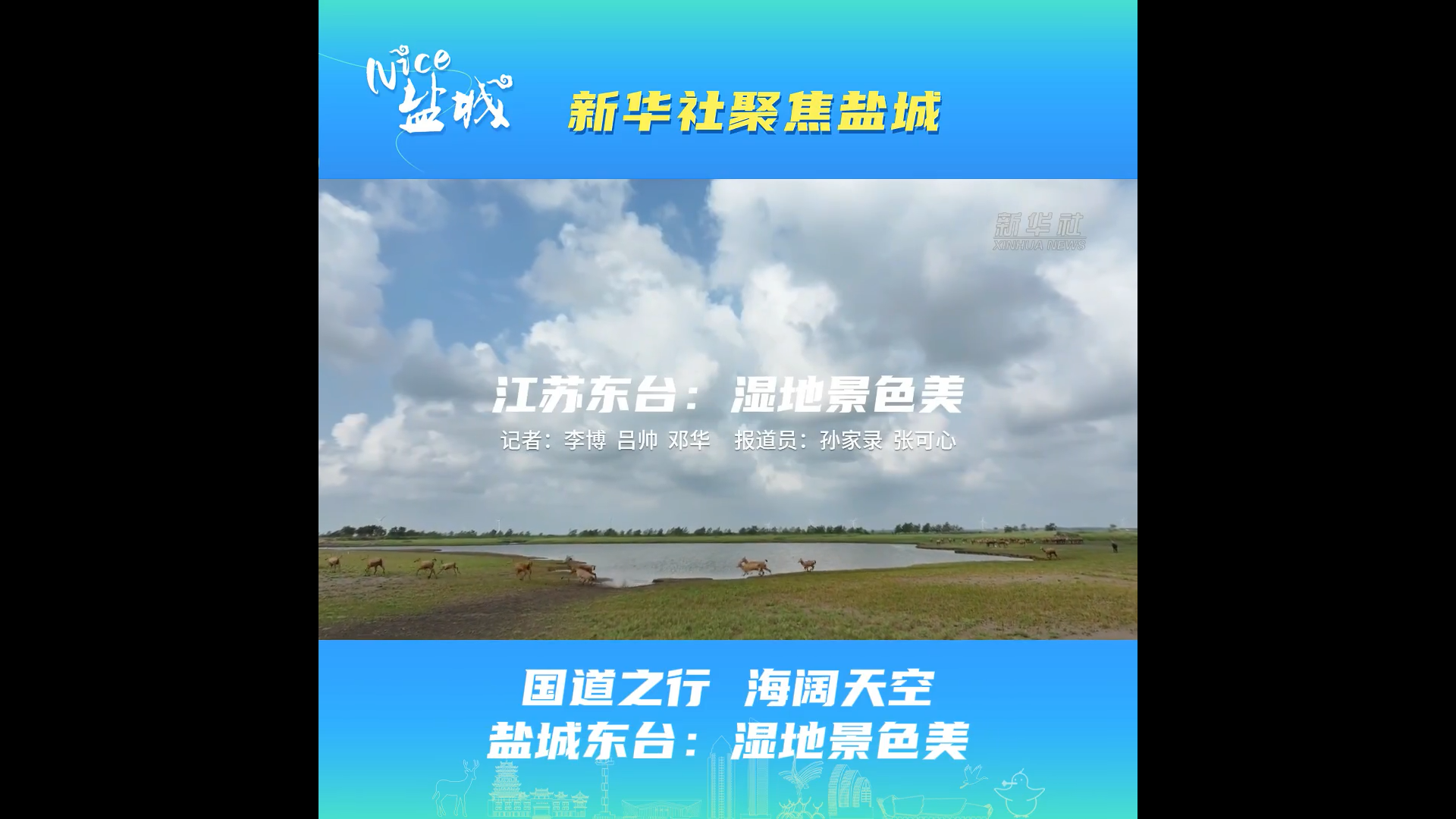 新华社镜头下的东台湿地！国道之行邂逅海阔天空之美